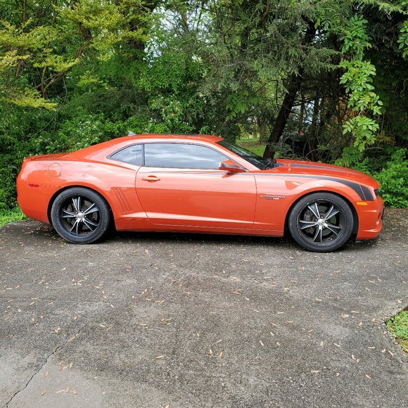 Meet your Posher, Patsy - Picture 1 of 1